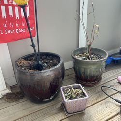 Outdoor indoor pots