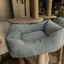 Cat/dog Bed