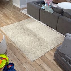 5x7 Rug- Free If Picked Up 