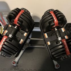 Bowflex 552 Weights w/Stand & Bench