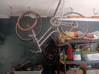 Nihilism Rally 12speed bike