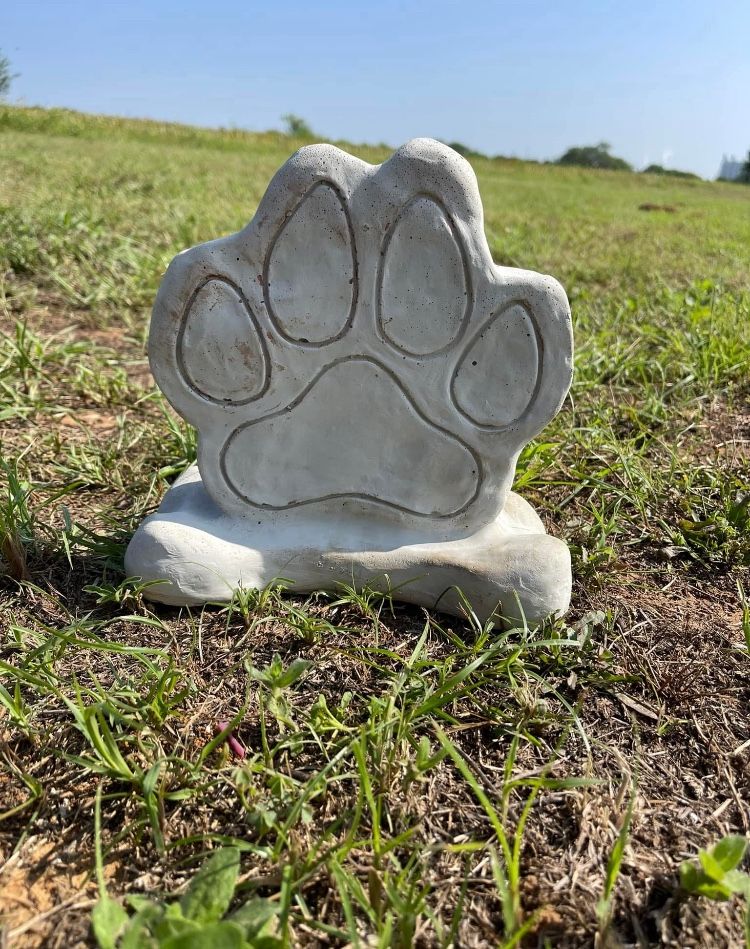 Paw With Bone