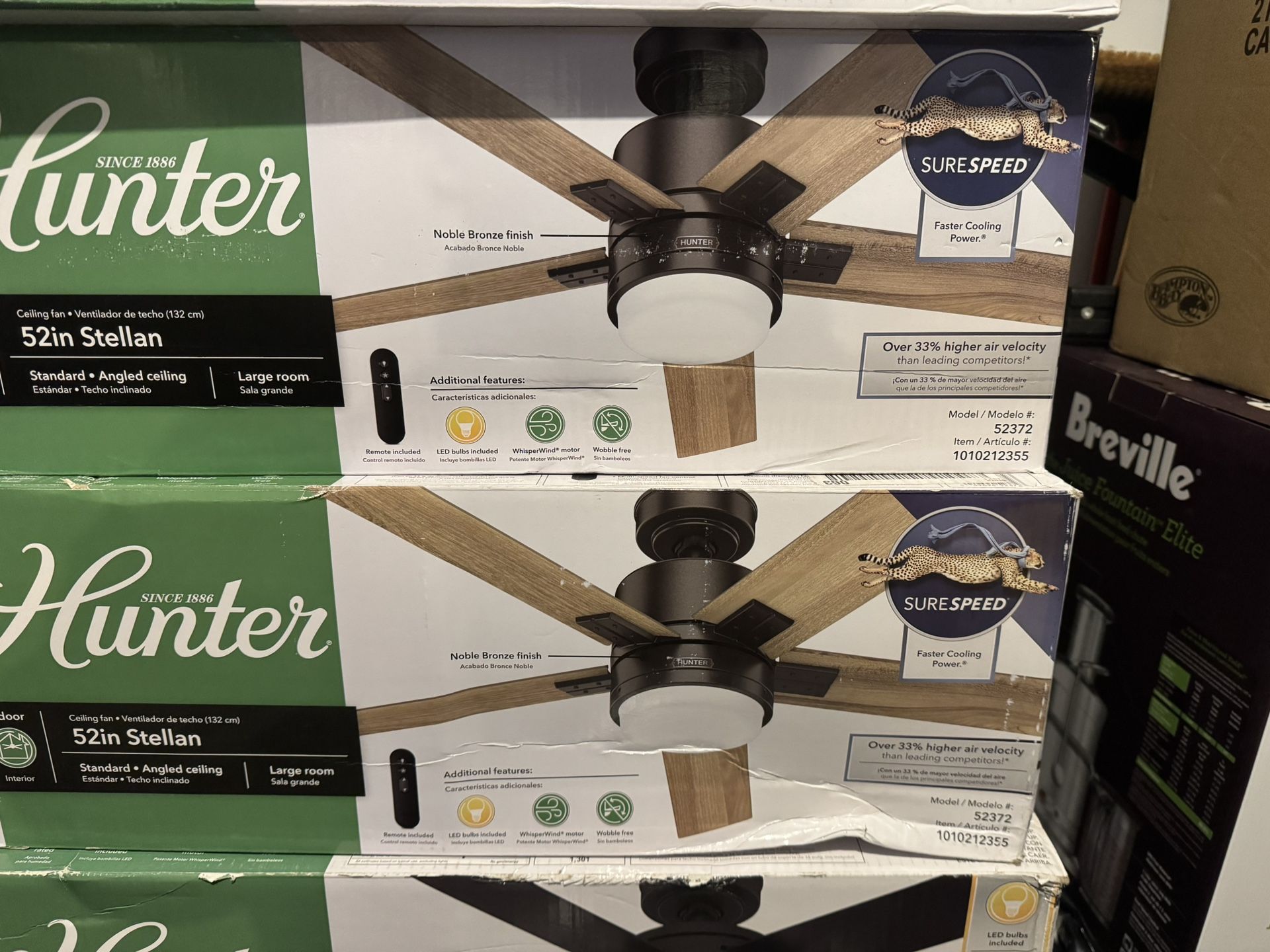 Ceiling Fans