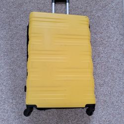Large check in luggage
