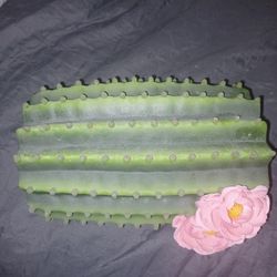 LIKE NEW---Cactus Reptile Log