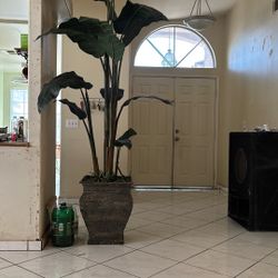 Big Tall Plant Fake 