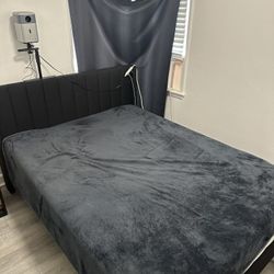 Queen Size Bed Frame Pick Up By Today