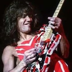 VAN HALEN LIVE DVD COLLECTION