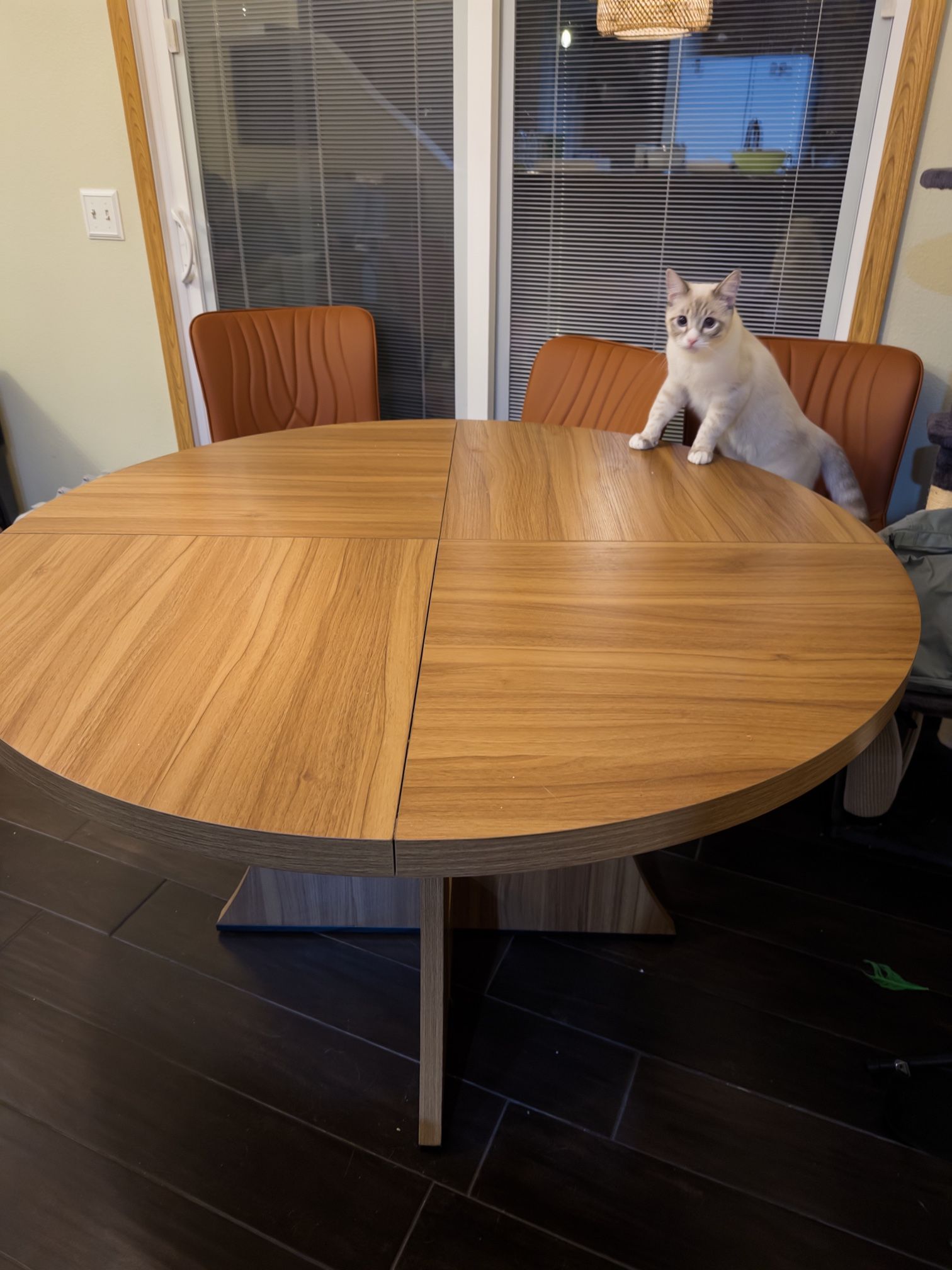 dining table Can Sit 7 People