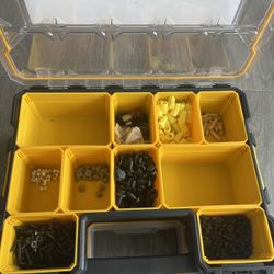 Dewalt 10 Bin Storage Case
