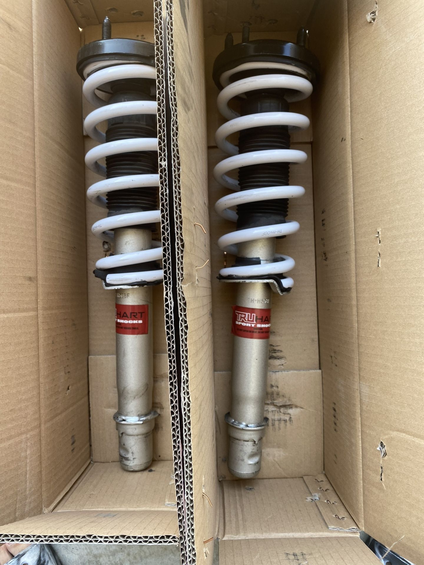 2008 Acura TL Shocks