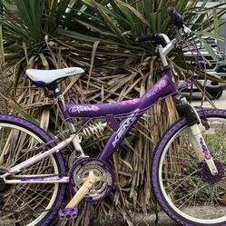 Beautiful Bicycle 