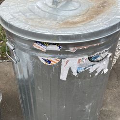 Galvanized Can (think 31 Gallon)