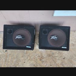 Peavy Floor Monitors