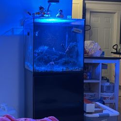 Aquarium tank 40 ga