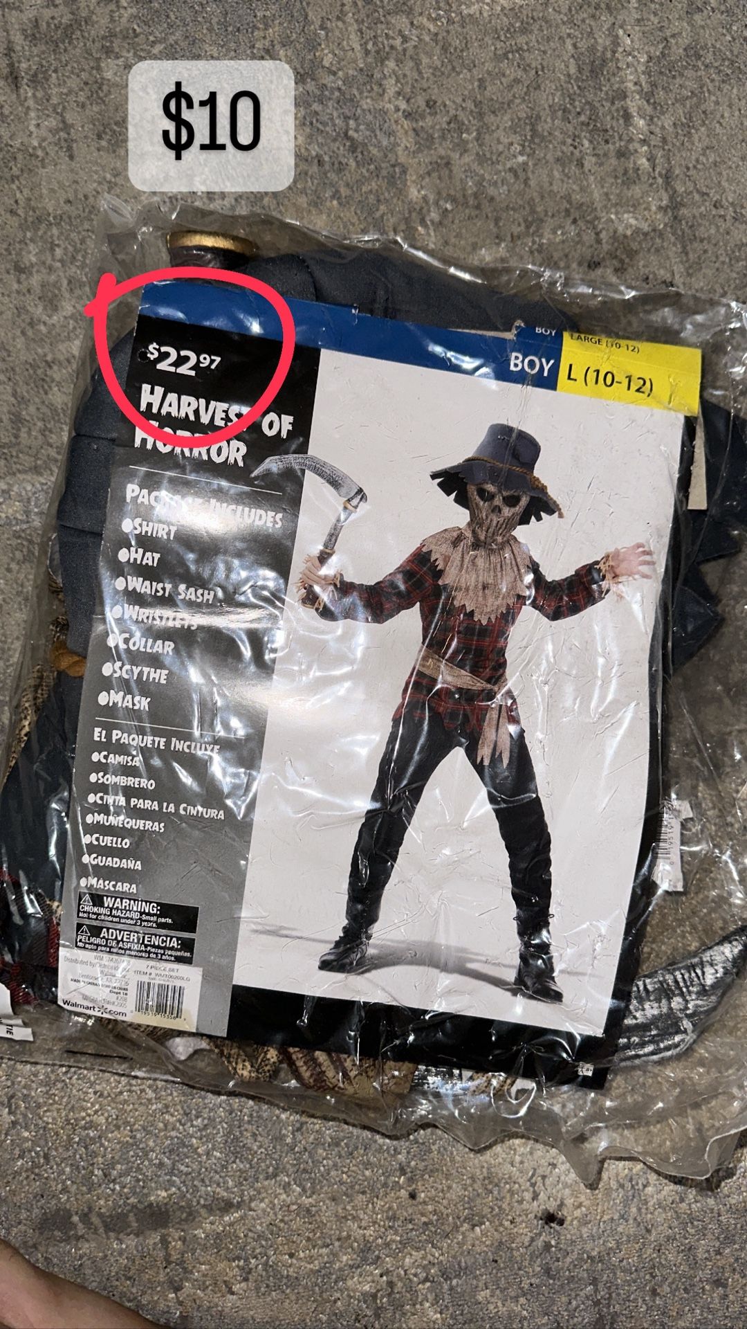 Halloween Costume