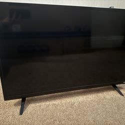 Vizio Flat Screen TV