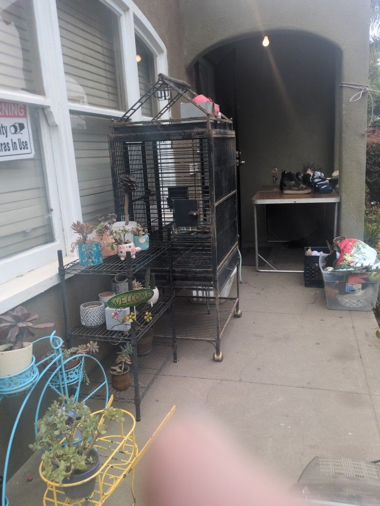 One Massage Table And A 5-ft Bird Cage