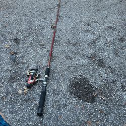 Fishing pole and reel 