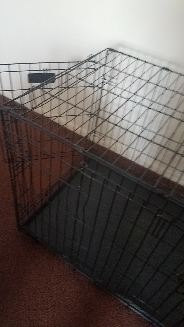 Dog cage for small dog
