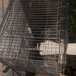 dog cage
