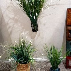 Boho Floral Arrangements $20 for ALL 