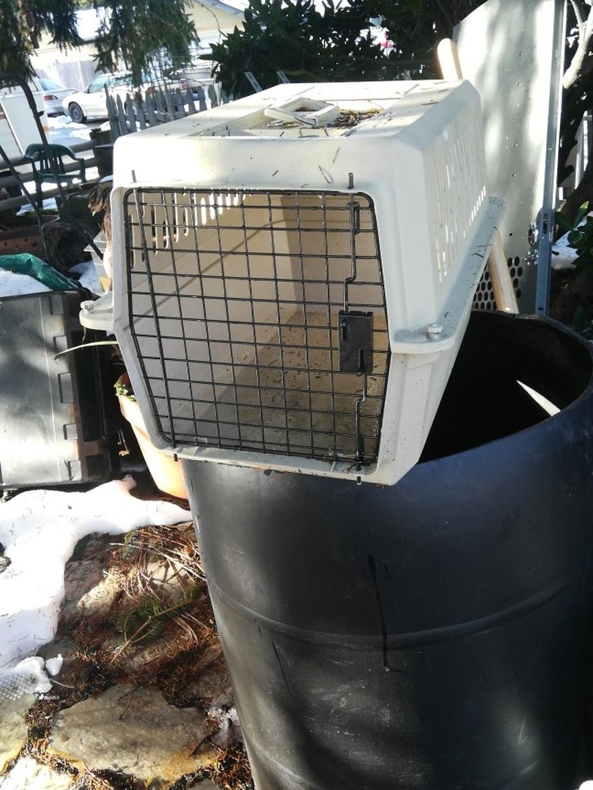 Dog Kennel