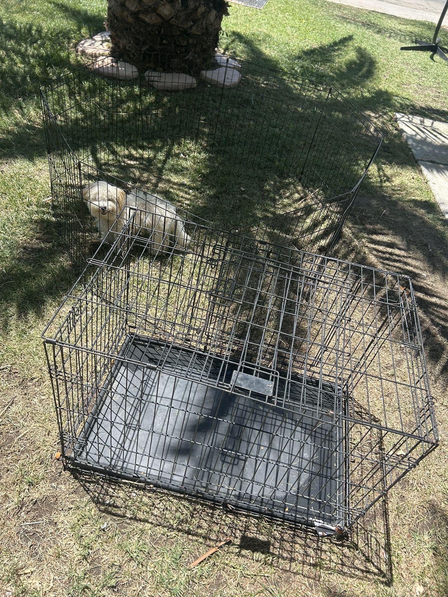 Hanford - dog cage ( 3ft by 2ft Height ) $35