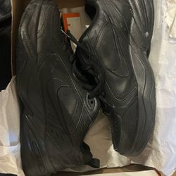 Air Monarch IV