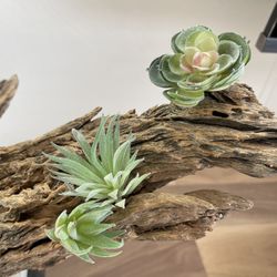 Modern Decor  Statement Piece