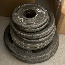 Olympic 2” Weight Plates