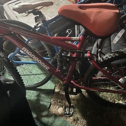Two Bikes
