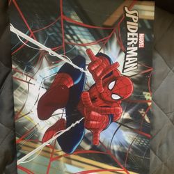 Spider-Man Wall Decor