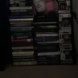 Books/ Stuffed Animals 