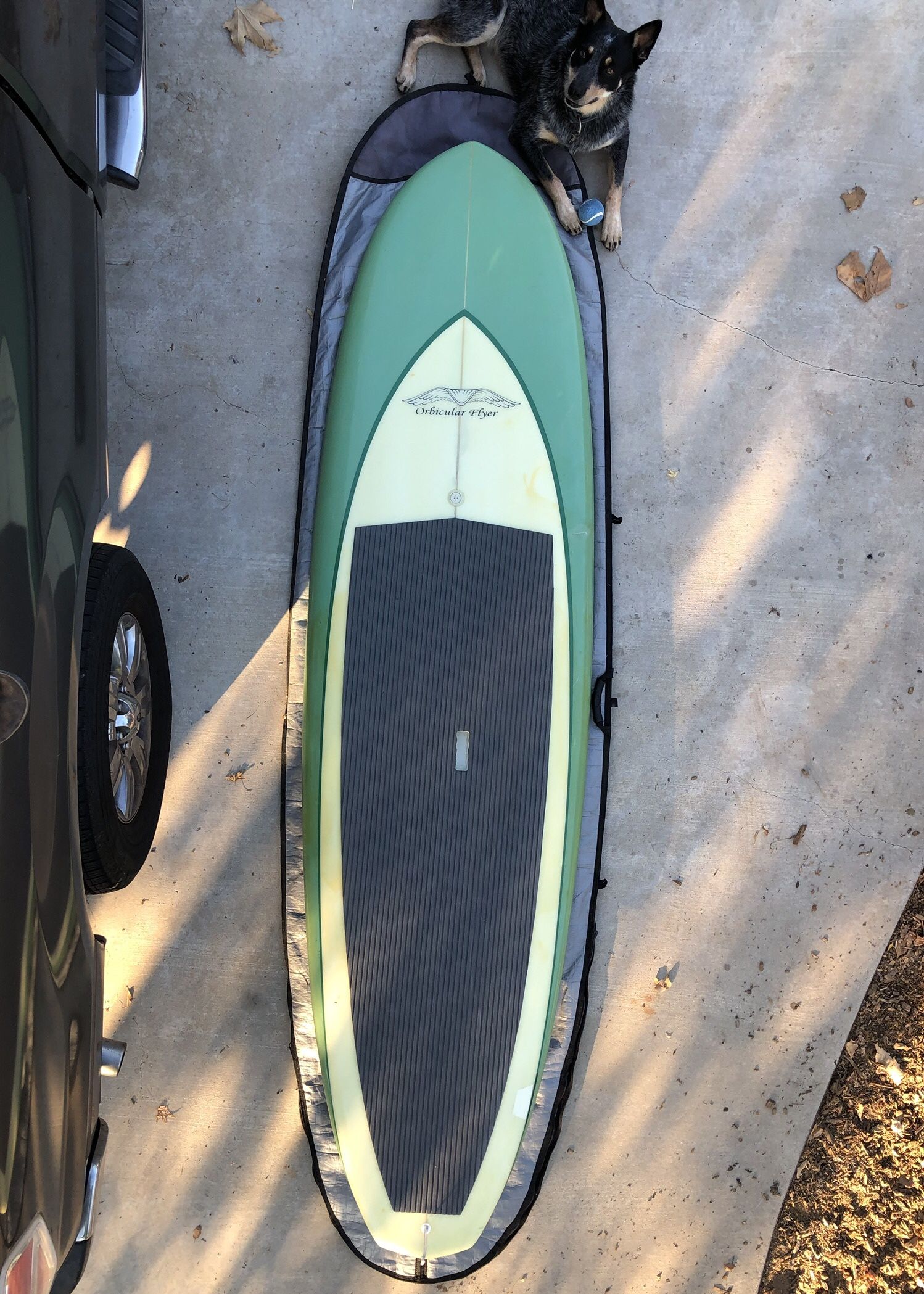 Stand Up Paddle - Orbicular Flyer