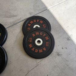 15 Lb Olympic Weight Plates 