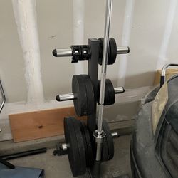 York Plates, 3 Bars, One Weight Tree