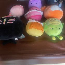 2026 Sqush Pets 