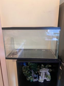 Glass Aquarium Fish Tank with white gravel and filter