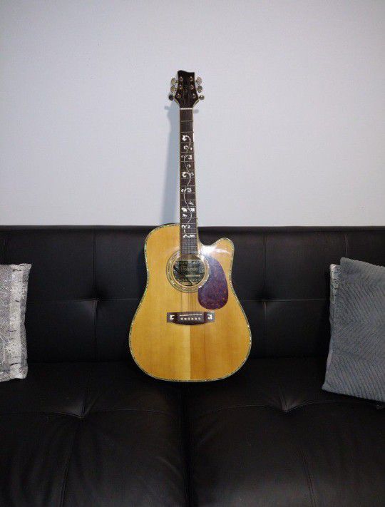 Telluride Guitar (Used)