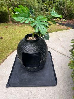 Cat box