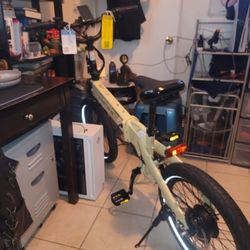Lectric Bike