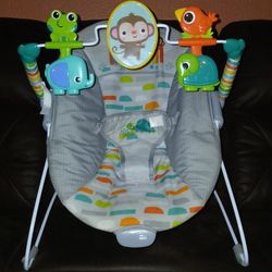 Bright Starts Playful Paradise Vibrating Baby Bouncer, Unisex, Newborn +