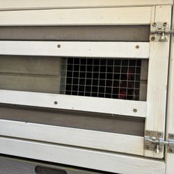 Darkling Beetle Farm 200