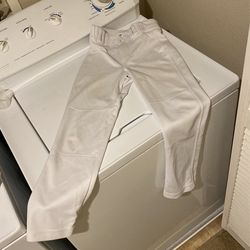 Boys Champro Sports Baseball Pants (size Youth Small)