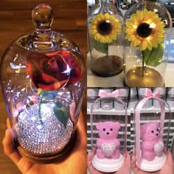 New Glass Dome’s (different prices)