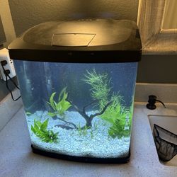 BioCube Aquarium 16 Gallon Fish Tank