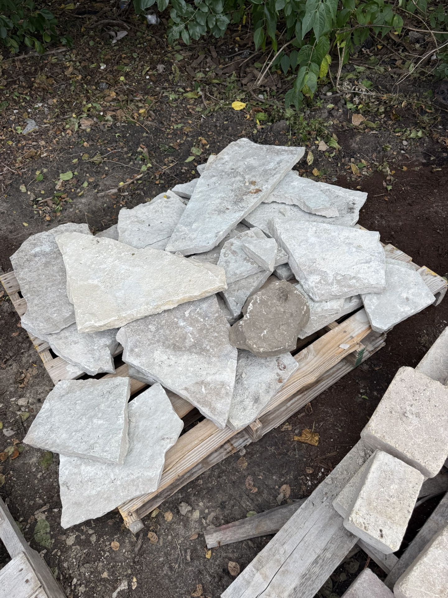 Eden Flagstone Steppers