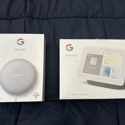 Google Nest Hub & Nest Mini