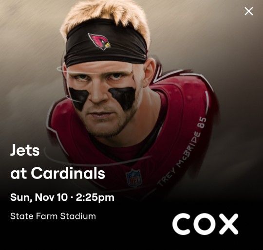 Cardinals Vs Jets Ticket Football Game